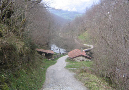 Camino-de-los-Arrudos--Caleao