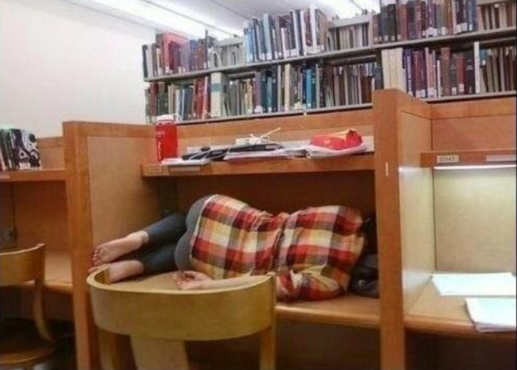 Durmiendo-biblioteca