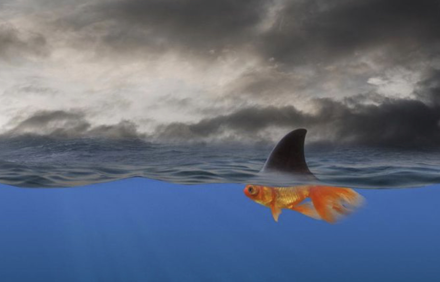 La verdad contable, los auditores y el Tribunal Supremo