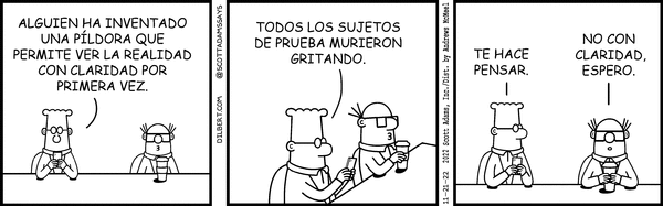 La poesía de la auditoría