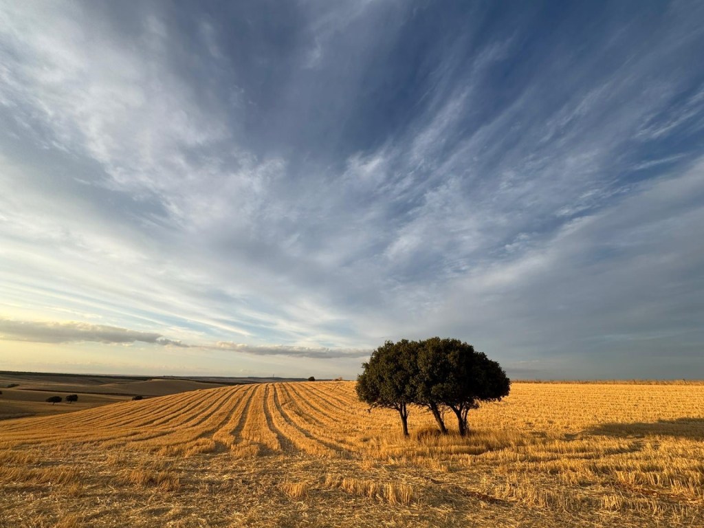 Financiación local y costes legislativos ¡Qué bonito está el&nbsp;campo!